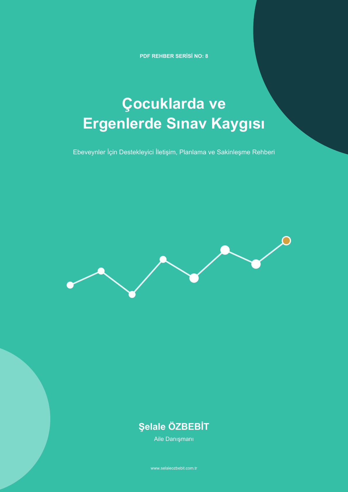 Çocuklarda ve Ergenlerde Sınav Kaygısı PDF rehberi kapak görseli